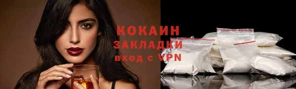 индика Заволжск