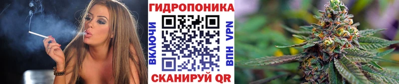 Канабис MAZAR Судак