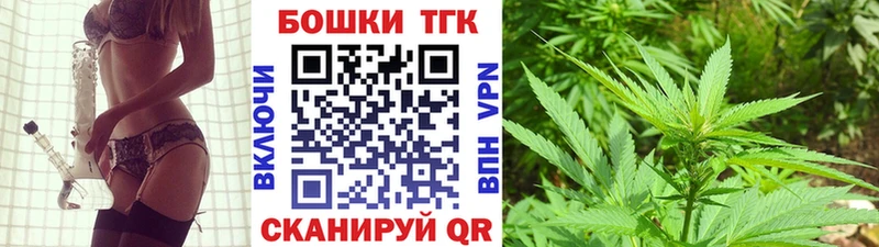 купить  цена  Судак  Канабис индика 